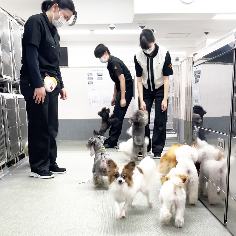 Ｗａｎ活の生徒とお散歩☆